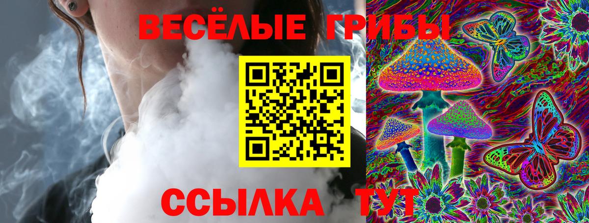 Учалы  Псилоцибиновые грибы мухоморы  Вход с VPN 