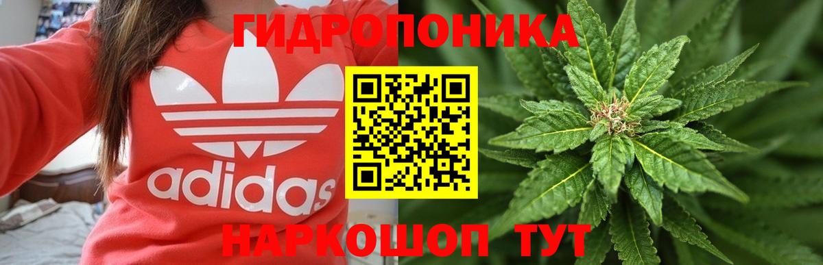 Каннабис конопля Учалы